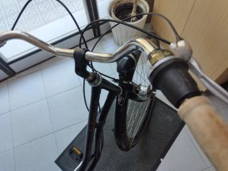 Bicicleta Holandesa Clásica