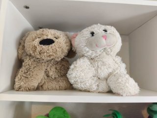 Lote Peluches Fruta, Perro y Gato