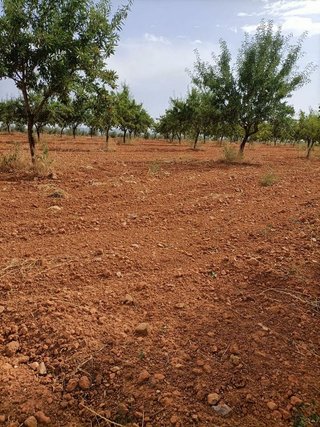 Terreno en venta en Mora