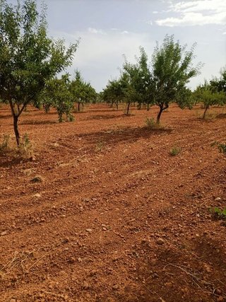 Terreno en venta en Mora
