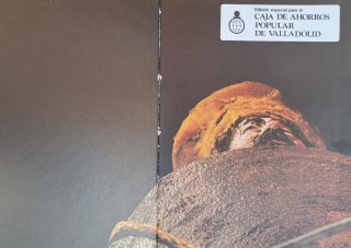 Don Quijote de la Mancha (1978)