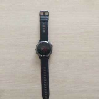 Garmin Fenix 5 Smartwatch Negro/Plata
