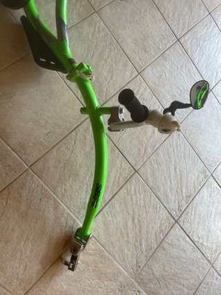 Remilque tandem  infantil WeeRide Co-Pilot