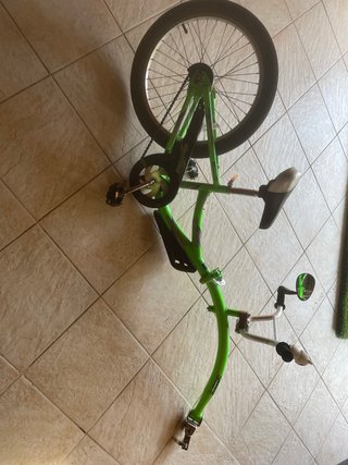 Remilque tandem  infantil WeeRide Co-Pilot