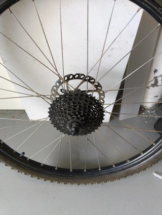 Rueda 26 trasera completa