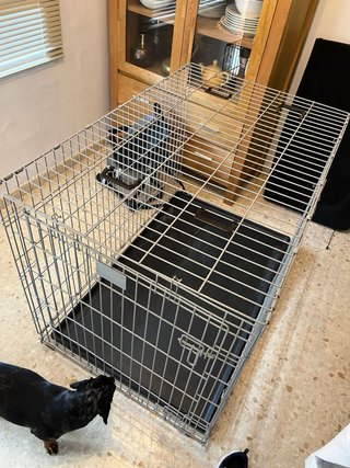 Jaula para perro grande Savic