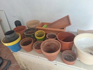 Lote de macetas de terracota y plástico