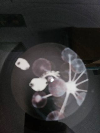 Piemont - Strange World Beyond Vinilo