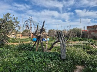 Solar en venta en Ciudad de Asís en Alicante