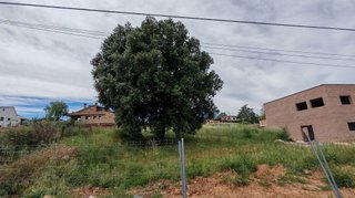 Terreno en venta en Ca n'Avellaneda - Can Font en Castellar del Vallès