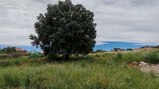 Terreno en venta en Ca n'Avellaneda - Can Font en Castellar del Vallès