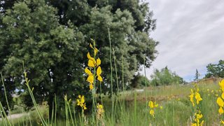 Terreno en venta en Ca n'Avellaneda - Can Font en Castellar del Vallès