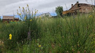 Terreno en venta en Ca n'Avellaneda - Can Font en Castellar del Vallès