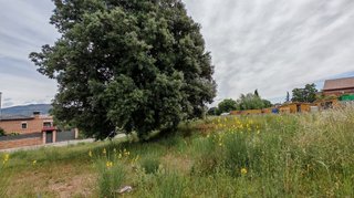 Terreno en venta en Ca n'Avellaneda - Can Font en Castellar del Vallès