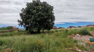Terreno en venta en Ca n'Avellaneda - Can Font en Castellar del Vallès