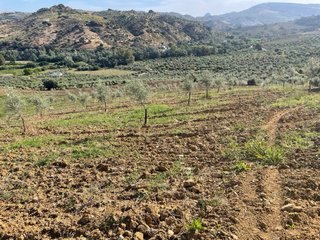 Finca con luz, agua y acceso.