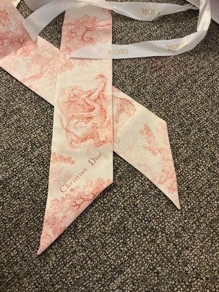 Bandeau Dior in seta