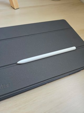 Samsung S Pen para Galaxy Tab S8