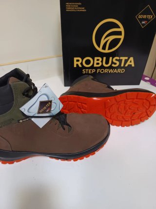 Botas de Seguridad Robusta T43 Gore-Tex Marrón/Ver