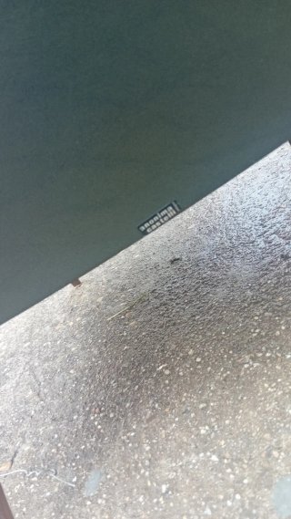 Poltrone Anonima Castelli in pelle nera