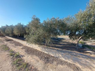Terreno en venta en Dolores