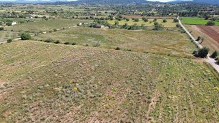 Terreno en venta en Felanitx
