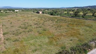 Terreno en venta en Felanitx