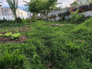 Terreno en venta en Moaña