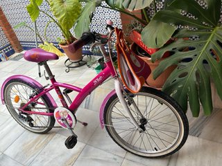 Bicicleta niña 20 pulgadas