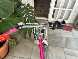 Bicicleta niña 20 pulgadas