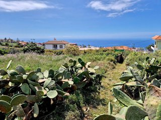 Terreno en venta en Sauzal (El)