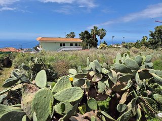 Terreno en venta en Sauzal (El)