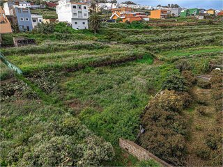 Terreno en venta en Sauzal (El)
