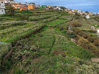 Terreno en venta en Sauzal (El)