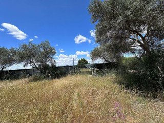 Terreno en venta en Carmona