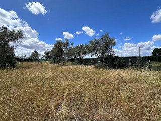 Terreno en venta en Carmona