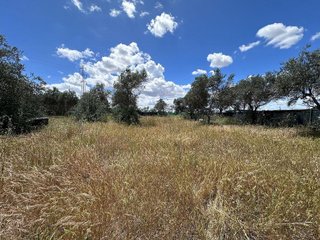 Terreno en venta en Carmona