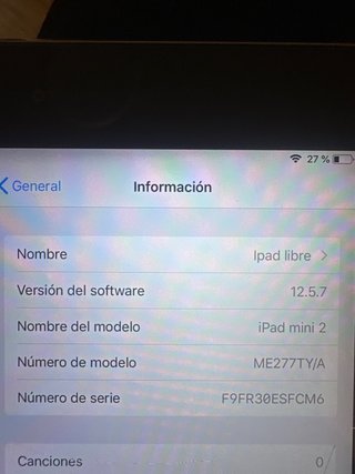 iPad 12.5.7