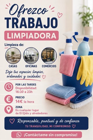 limpieza a domicilio