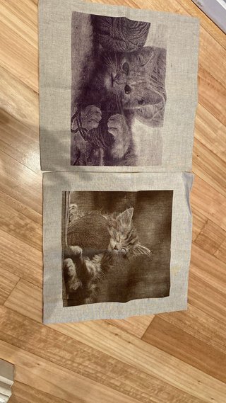 Fundas Cojín Lino Gatitos Hilo