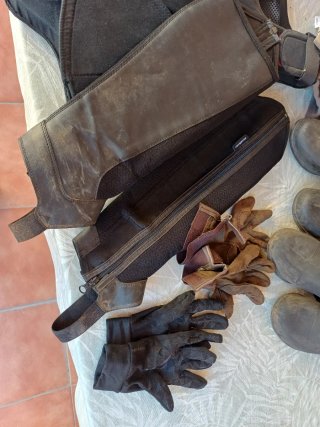 Lote Hípica: Botas, Guantes y Cepillos