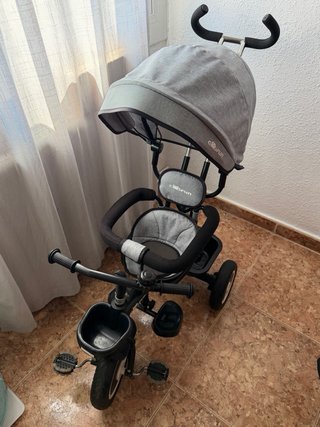Triciclo de paseo gris