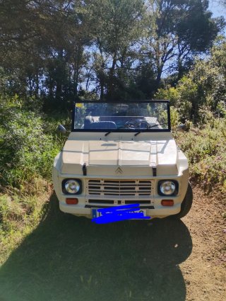 Citroen E-Mehari