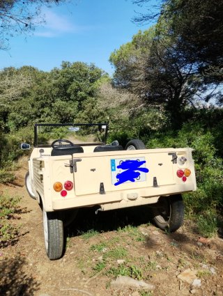 Citroen E-Mehari