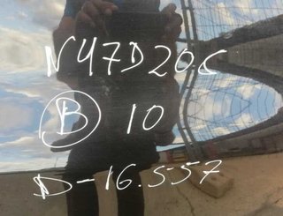 Bmw 851249901 centralita motor uce serie 1 4950223