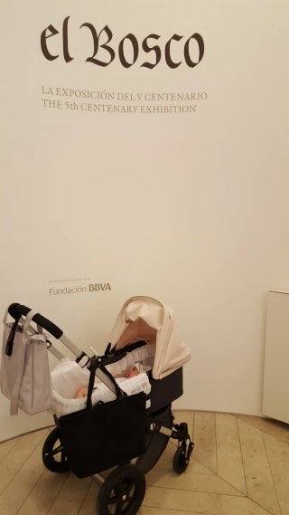 Carrito Bugaboo Camaleon 3 Beige/Gris 2 en 1