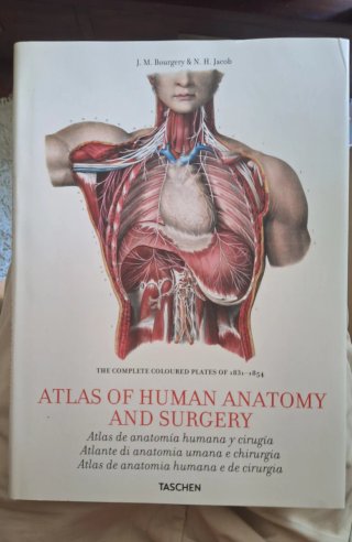 Atlas of Human Anatomy and Surgery - Taschen