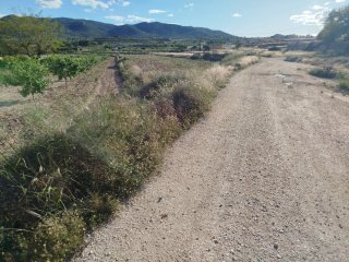 Terreno rústico en Monóvar