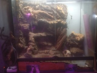 Terrario exoterra xl, 90x45x90
