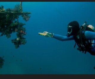 Linterna de buceo negra con cordón